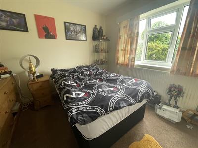Picture 13